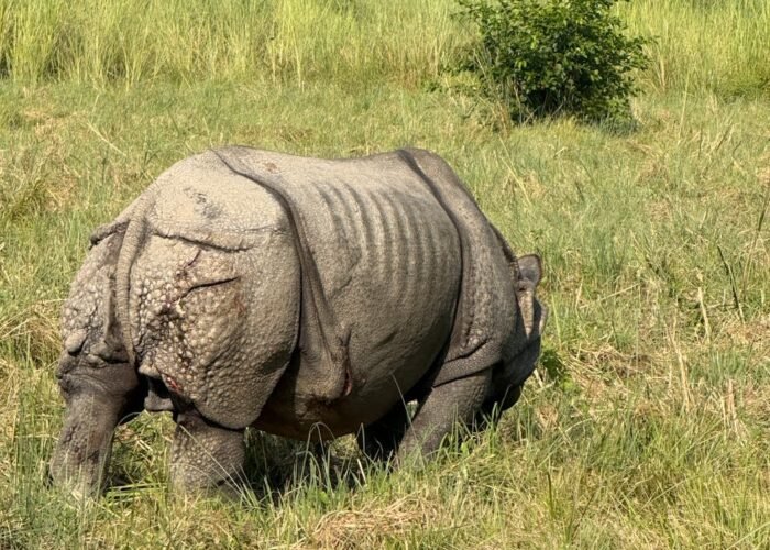 Bardiya Jungle Safari — 3