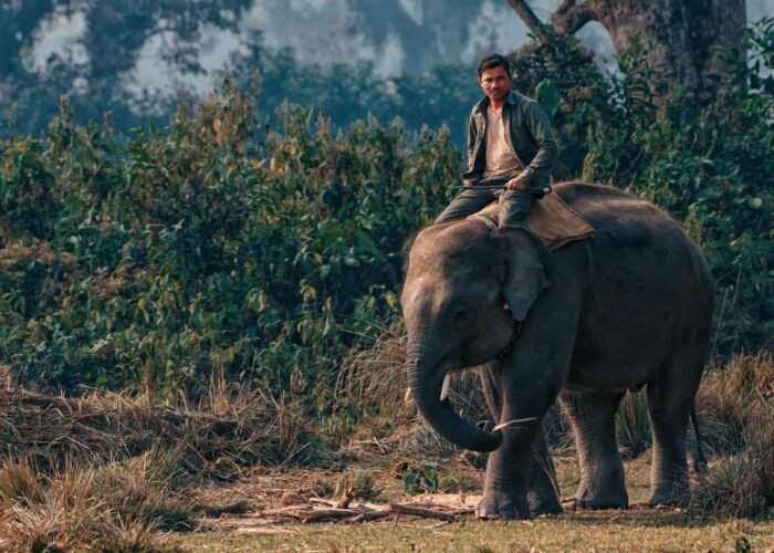 Bardiya Jungle Safari — 4