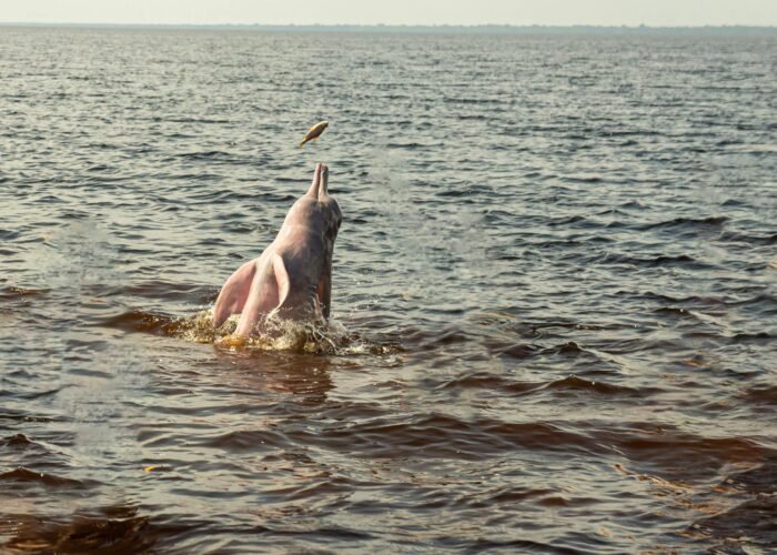 Bardiya Jungle Safari — 5