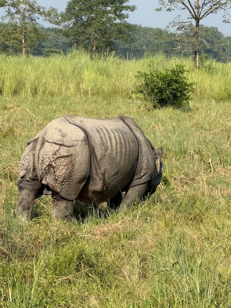 Chitwan Jungle Safari