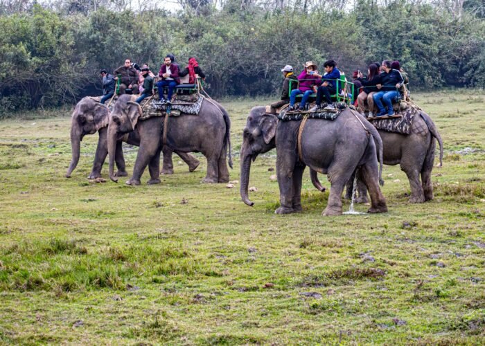 Chitwan Jungle Safari — 3