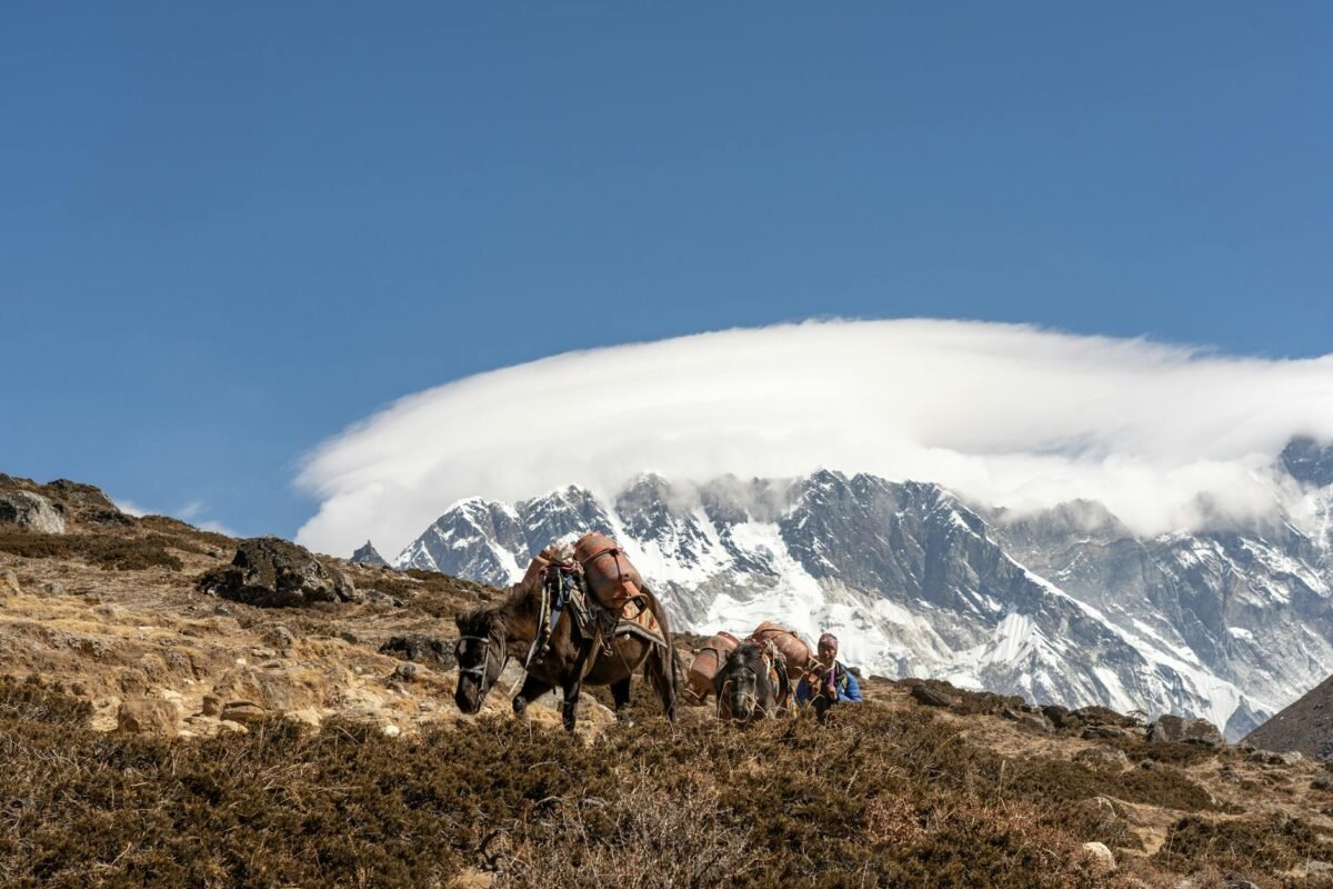 Everest Three High Passes Trek