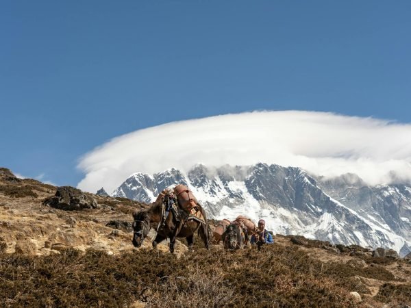 Everest Three High Passes Trek