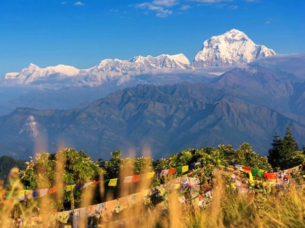 Ghorepani Poon Hill Trek