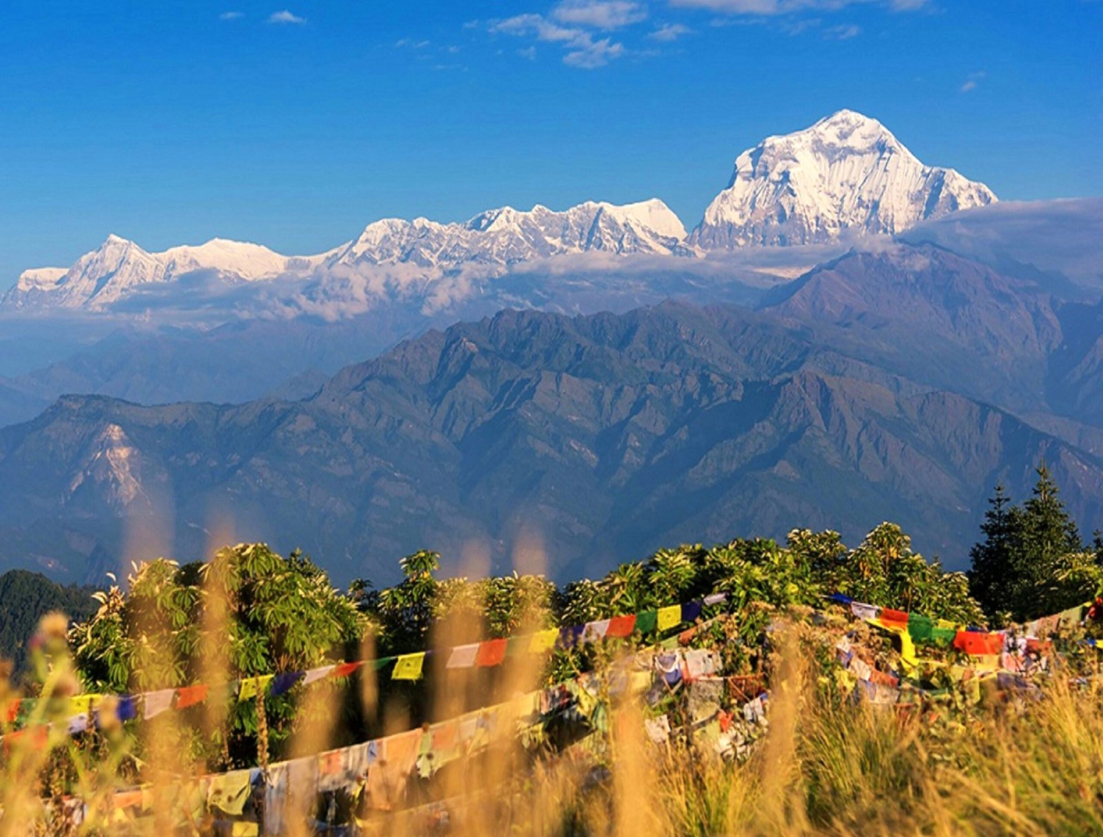 Ghorepani Poon Hill Trek