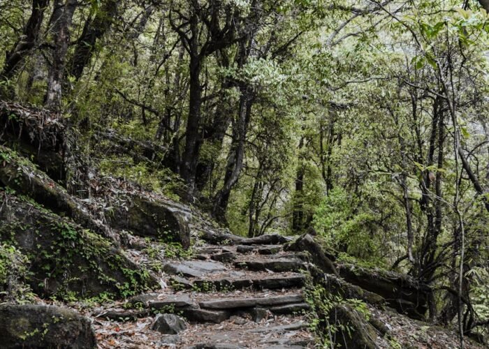 Ghorepani Poon Hill Trek — 2