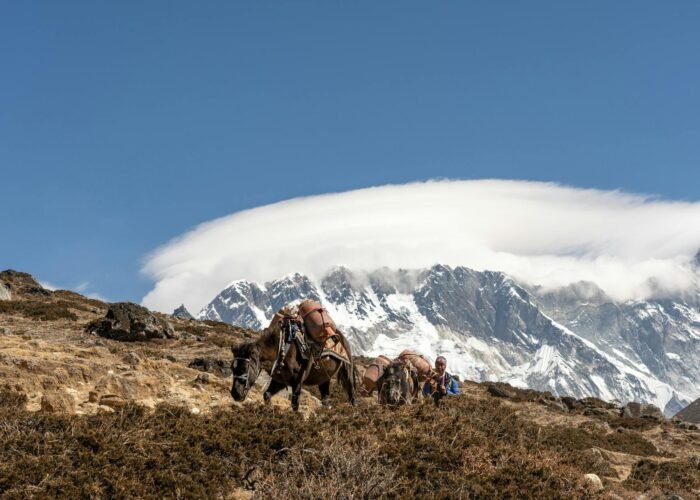 Kanchenjunga Trek — 4