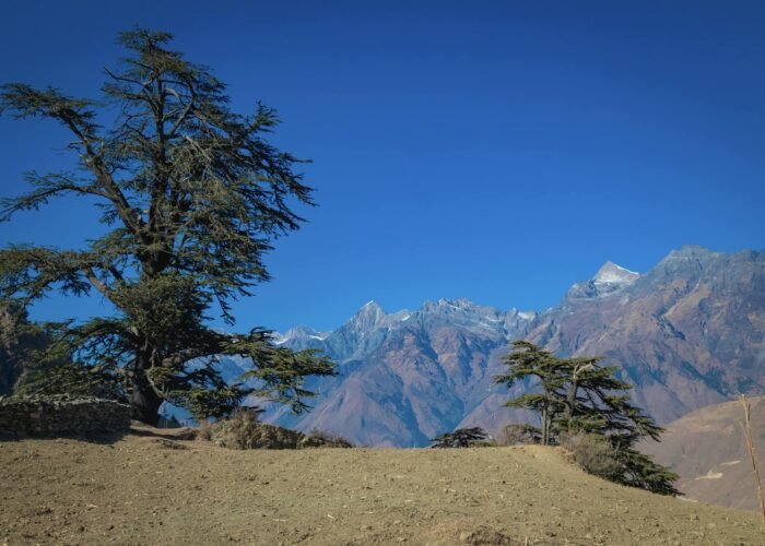 Mardi Himal Trek — 4