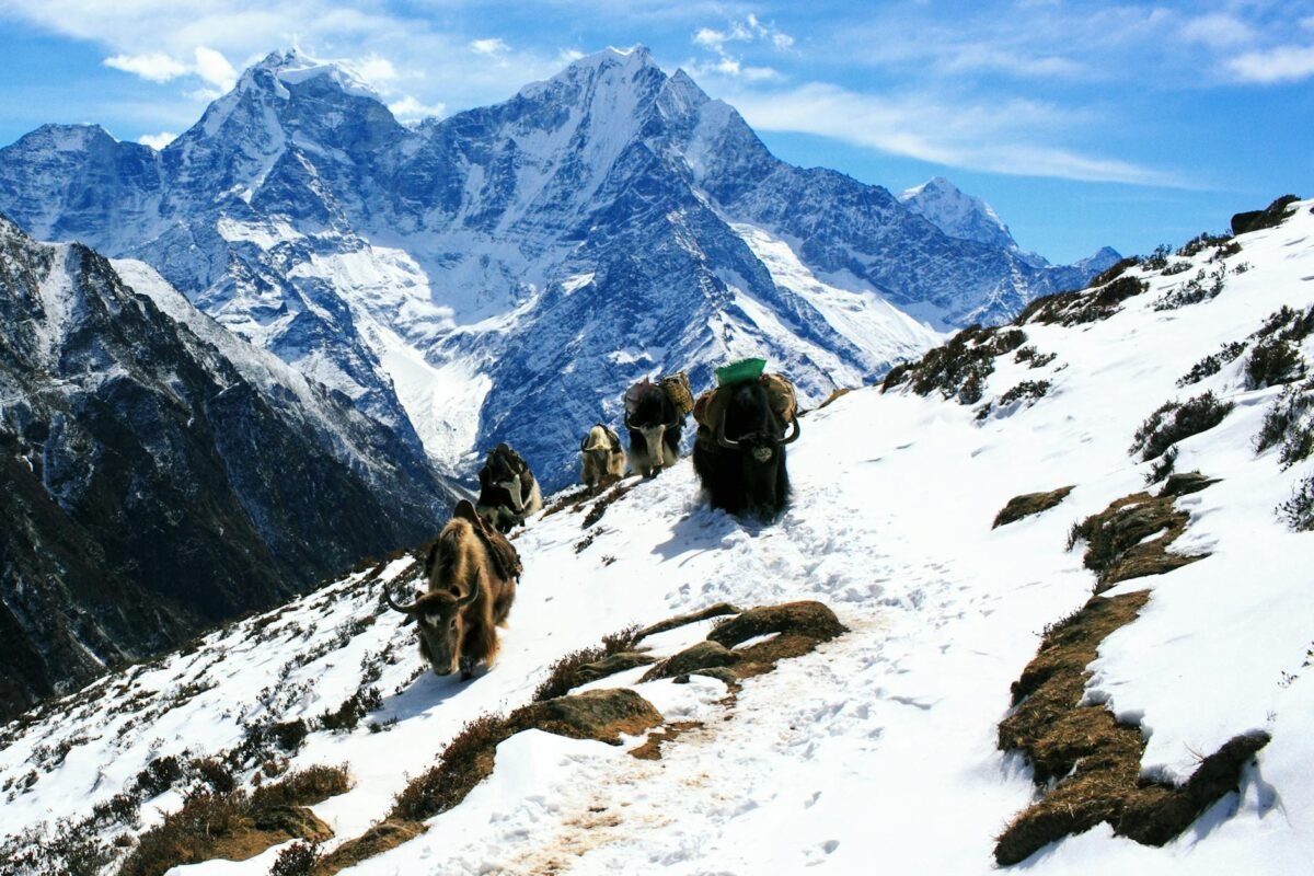 Mera Peak Climbing