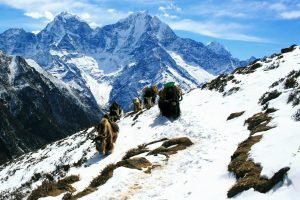 Mera Peak Climbing