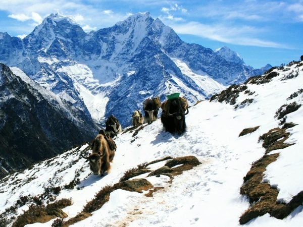 Mera Peak Climbing