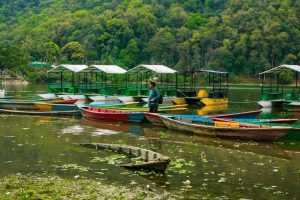 Kathmandu Chitwan Pokhara Tour