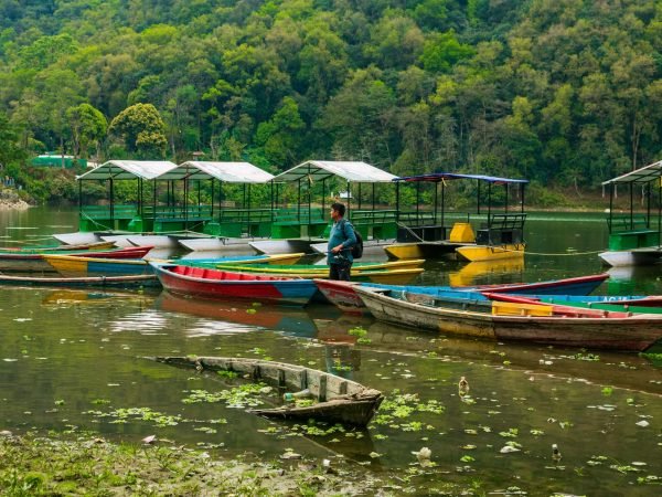 Kathmandu Chitwan Pokhara Tour
